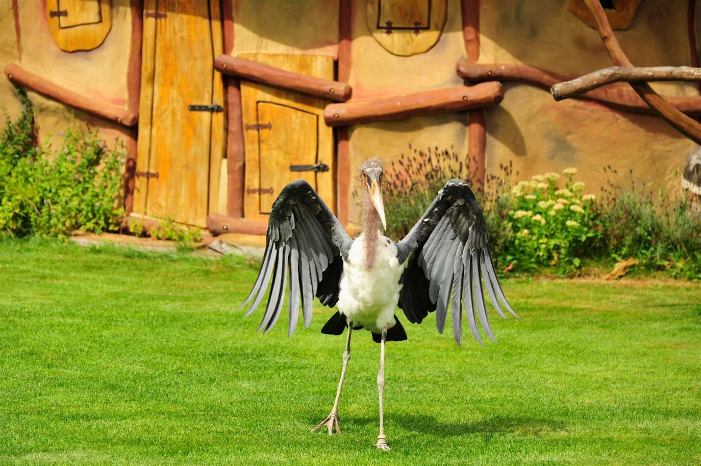 Vogelpark Marlow