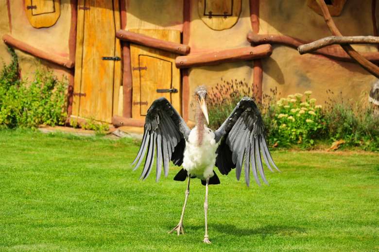 Vogelpark Marlow